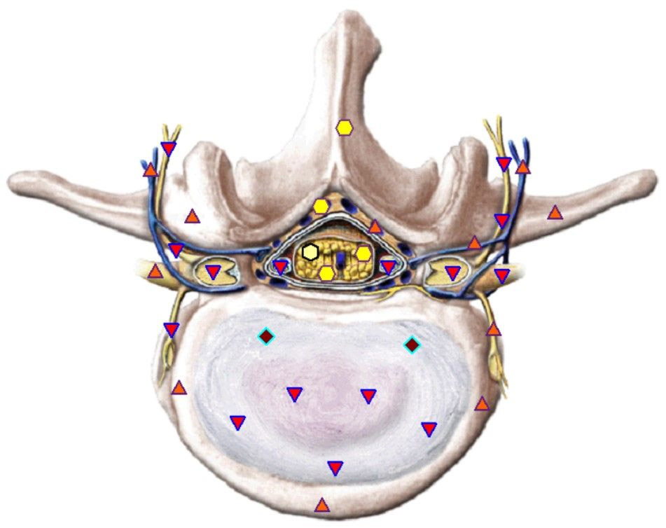 Bioresonance diagram